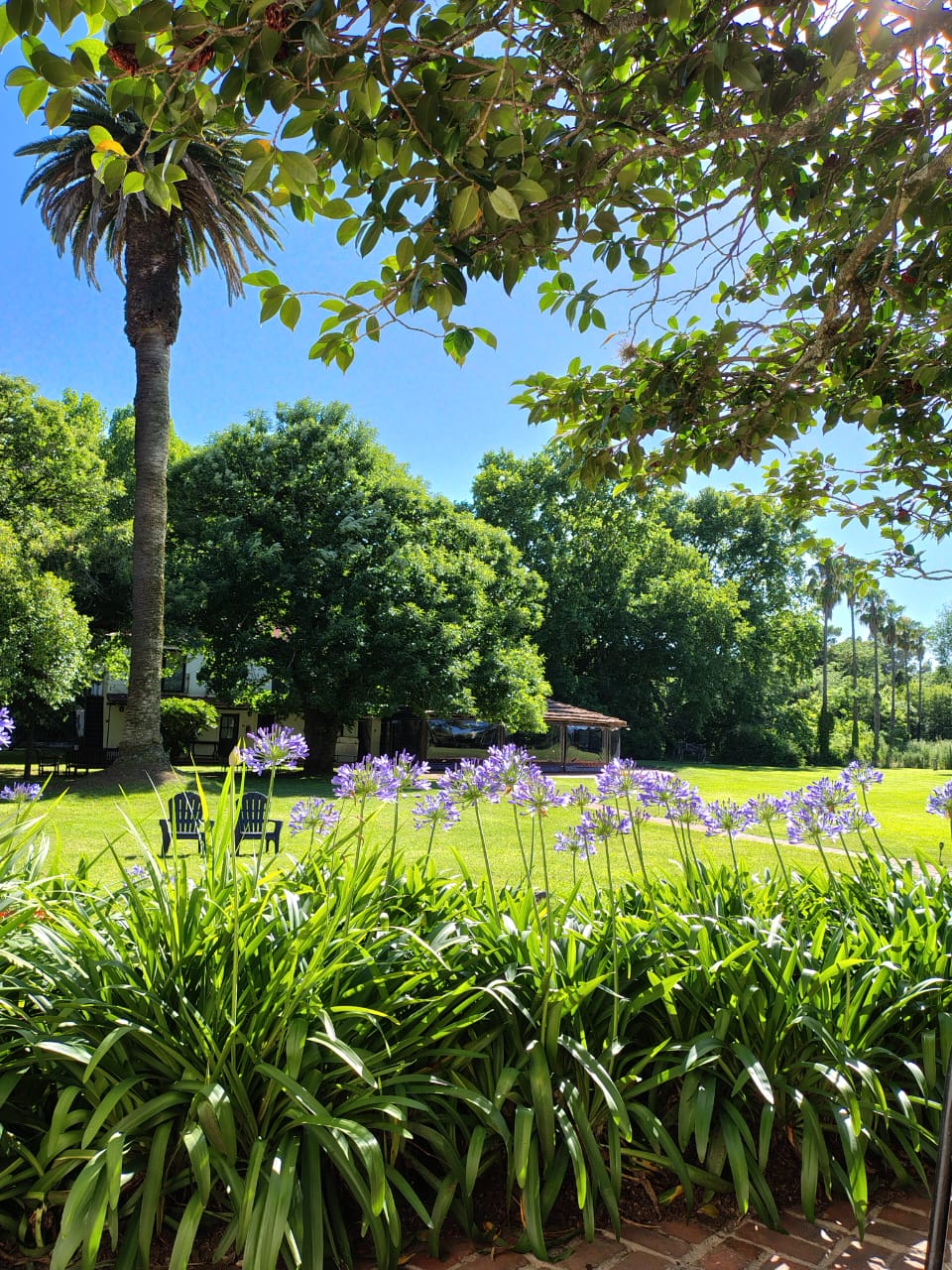 Galería Estancia San Pablo 81