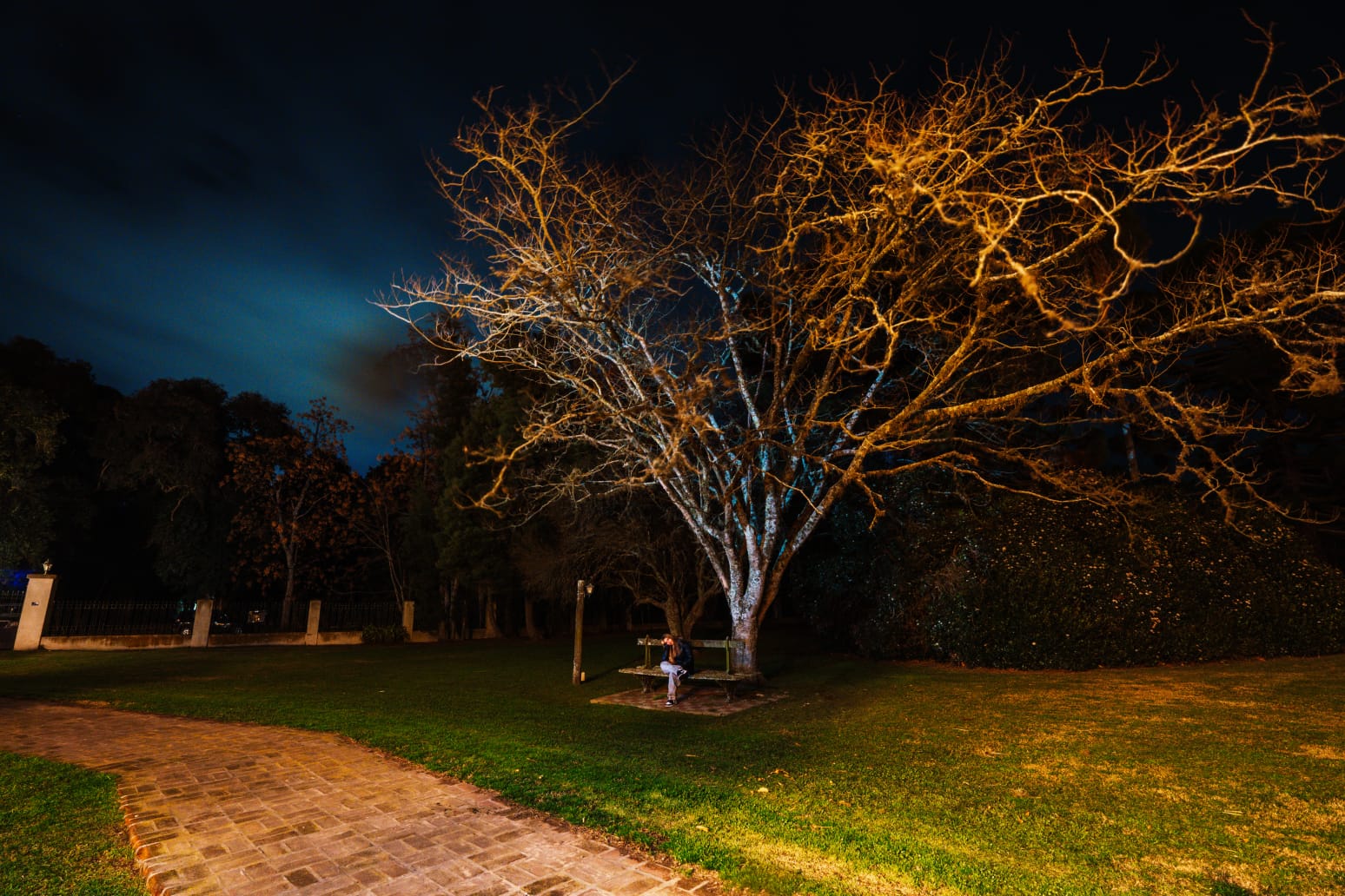 Galería Estancia San Pablo 84