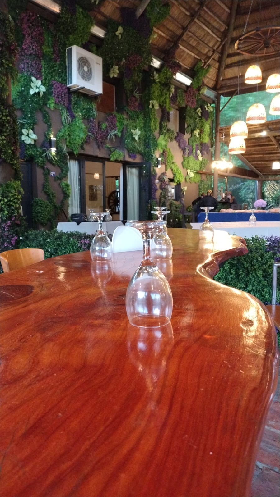 Galería Estancia San Pablo 89