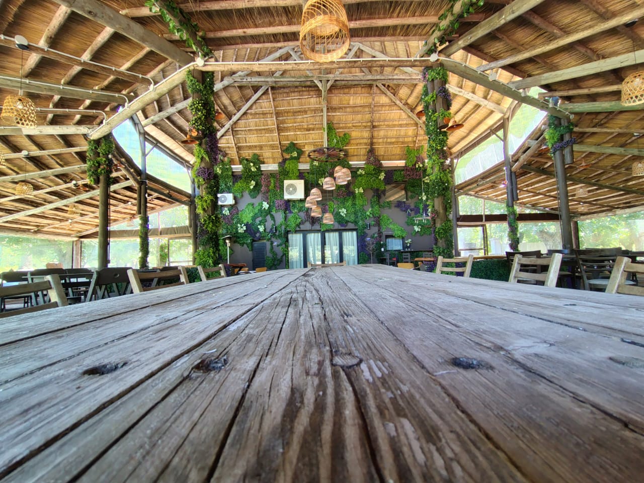 Galería Estancia San Pablo 108
