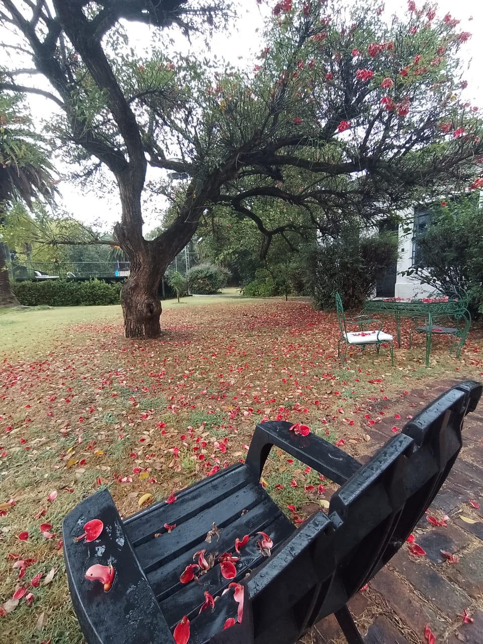 Galería Estancia San Pablo 123